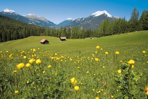 Ferienwohnung Tirol